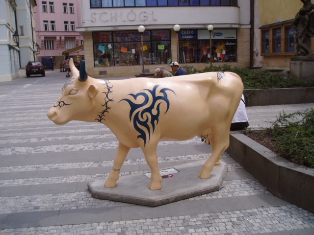 Krava před hudbou.JPG