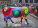 Kráva barevná.JPG